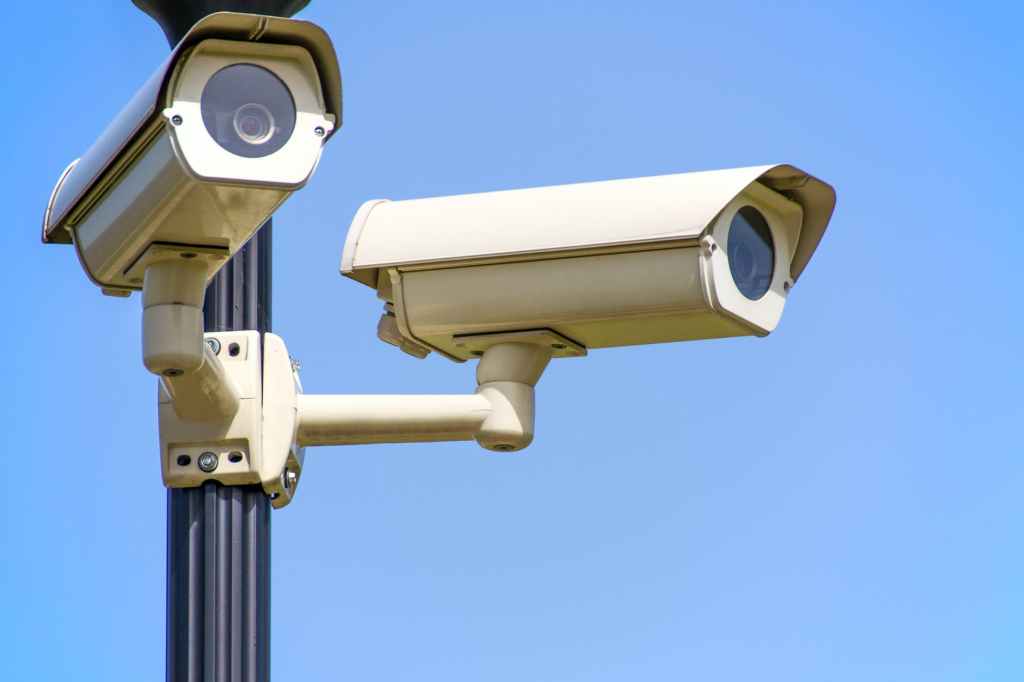 SEGURIDAD Y DESARROLLO&nbsp;EMPRESARIAL