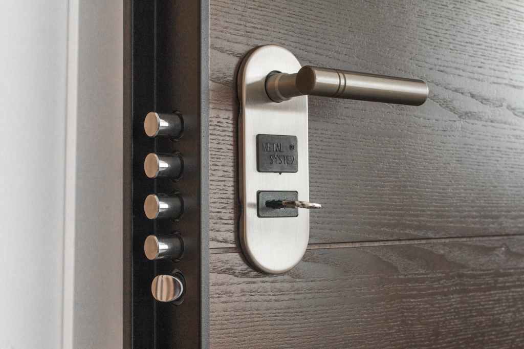 SEGURIDAD, TECNOLOGIA Y DESARROLLO