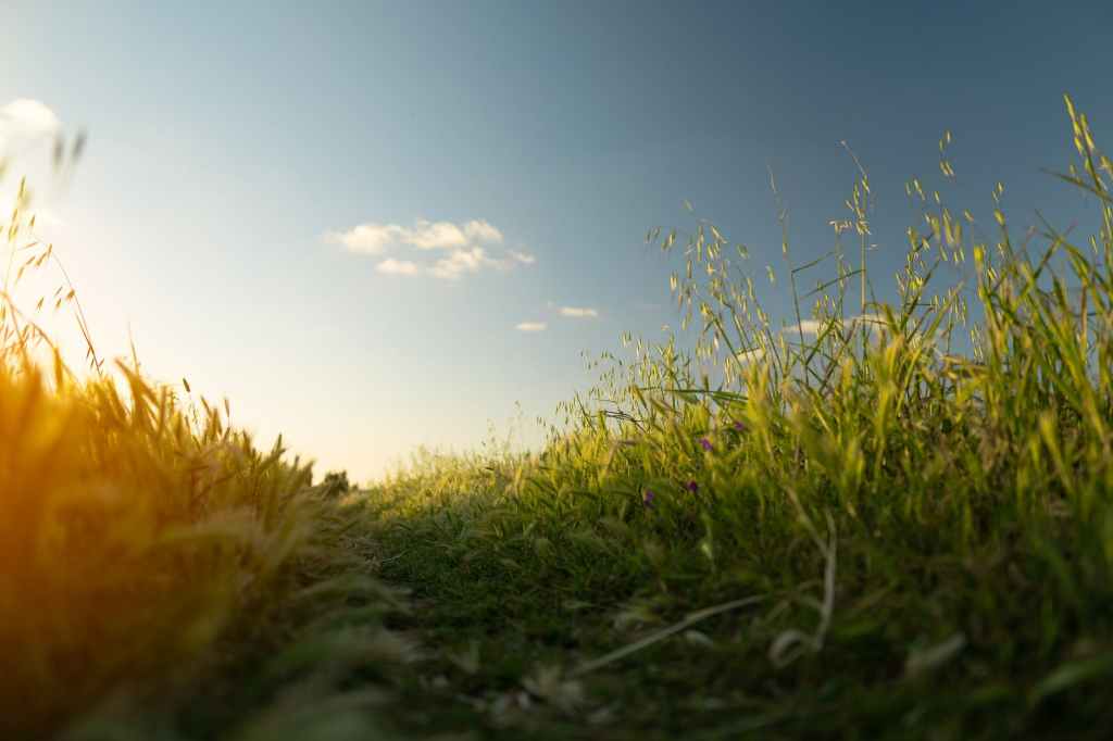 Notas sobre desarrollo rural: asociatividad y gremialidad